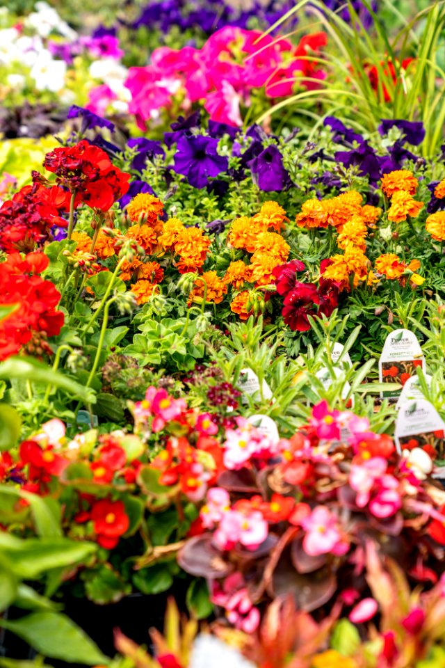 Jgibson Day5 0085  DSC8815