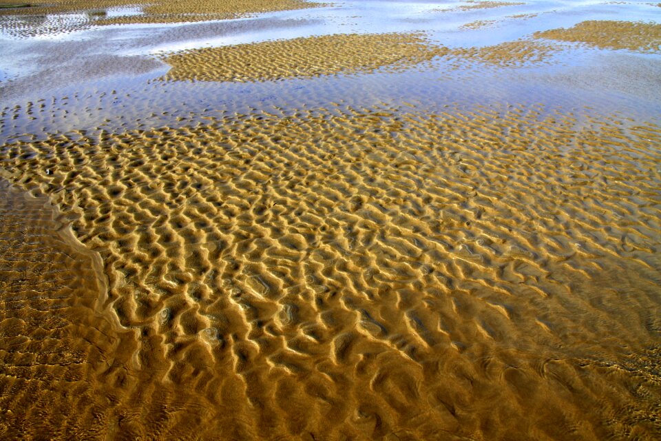 Beach nature sea photo