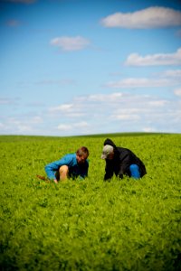 5187 NRCS projects