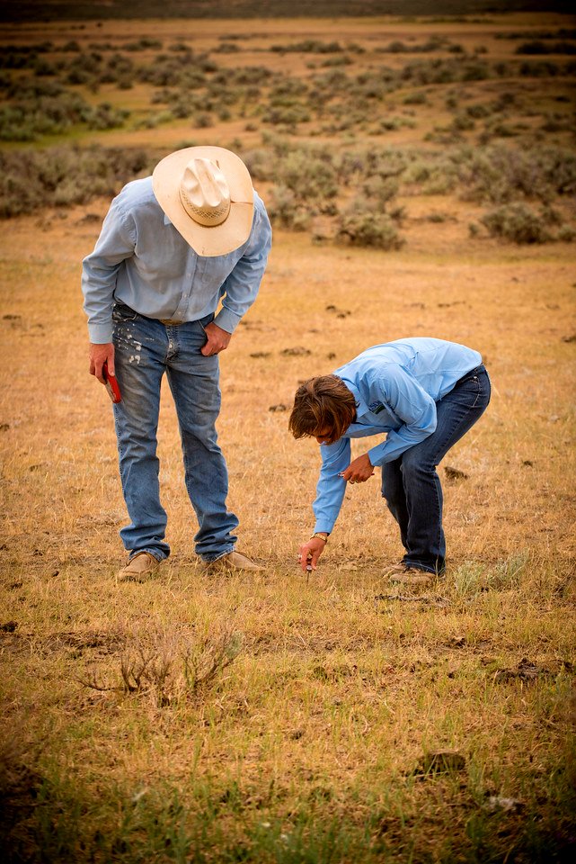 5591 NRCS projects.jpg