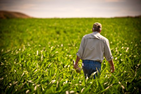 6653 NRCS projects.jpg