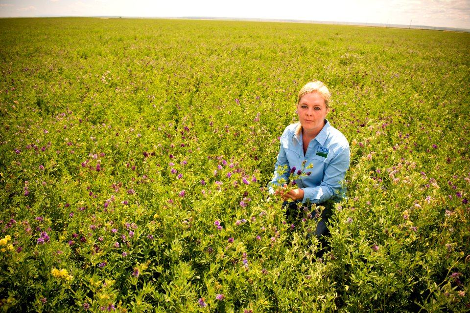 3000 NRCS projects