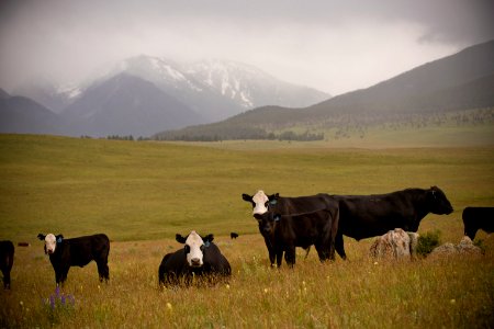 3473 NRCS projects