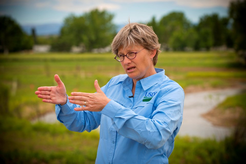4629 NRCS projects