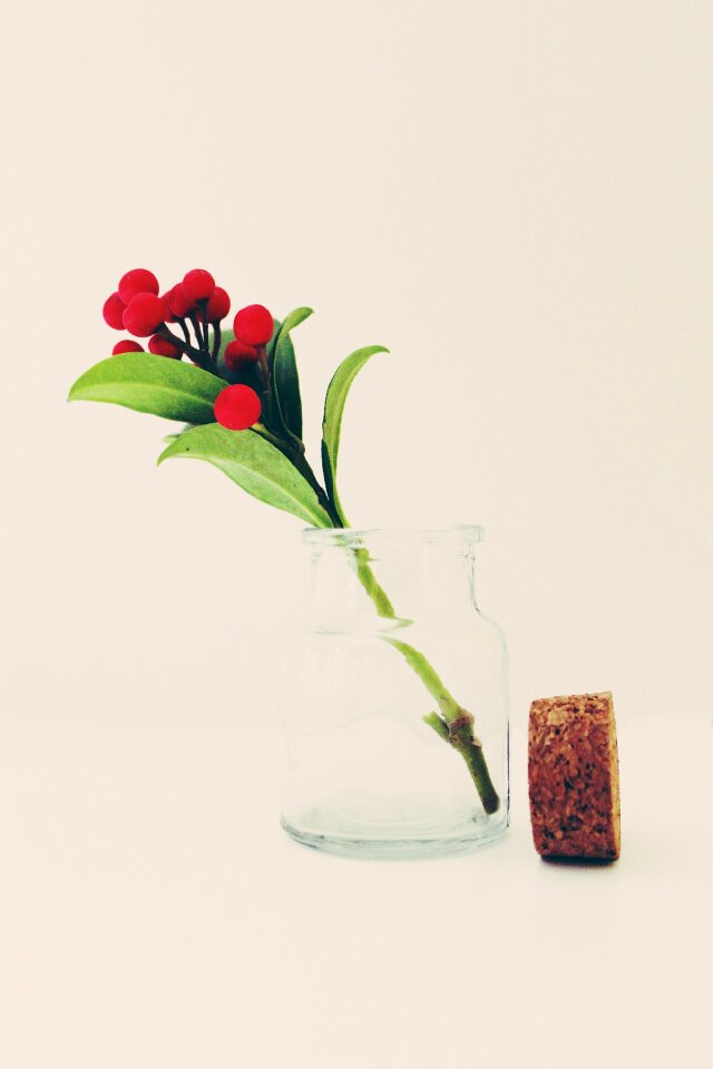 Plant transparent decoration
