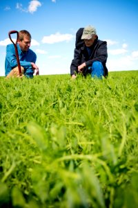 5201 NRCS projects