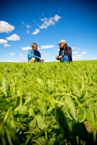 5210 NRCS projects