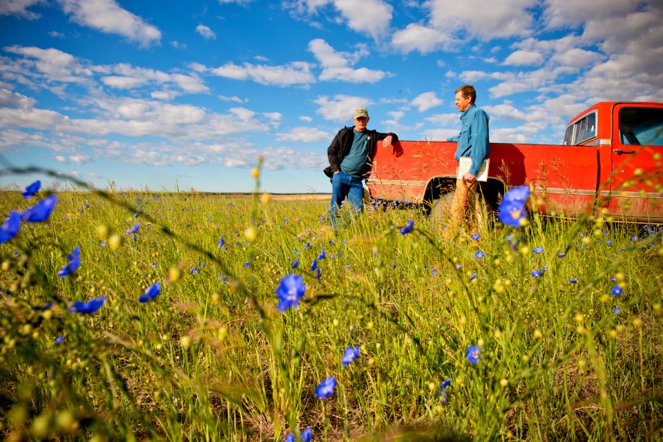 4959 NRCS projects
