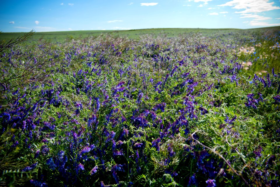 5046 NRCS projects