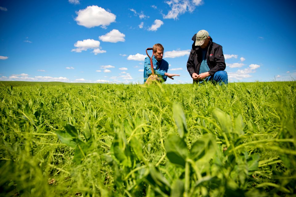 5205 NRCS projects