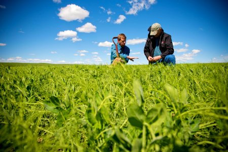 5205 NRCS projects