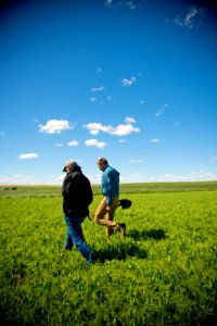5219 NRCS projects