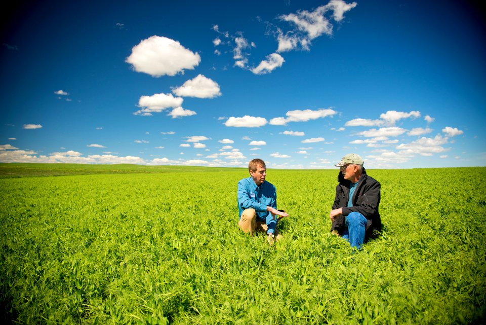 5213 NRCS projects