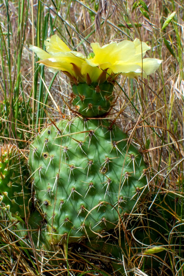  DSC5725