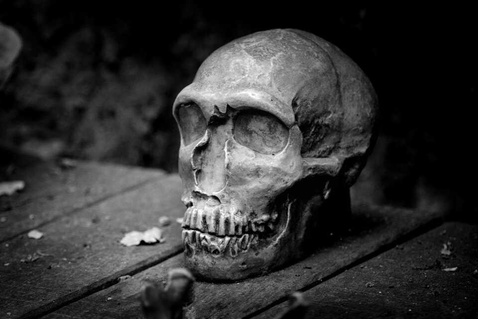 Bw weird skull bone