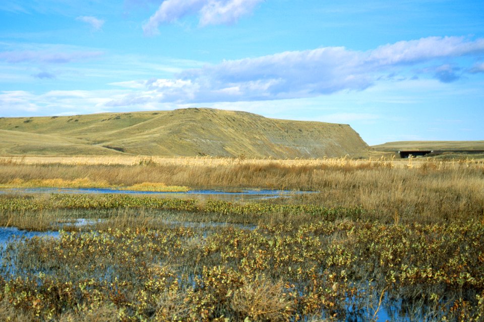 Wetlands07.tif