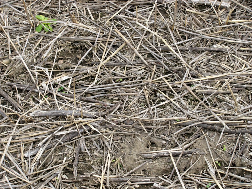 Conservation Tillage16