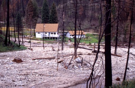 Natural Disasters11.tif