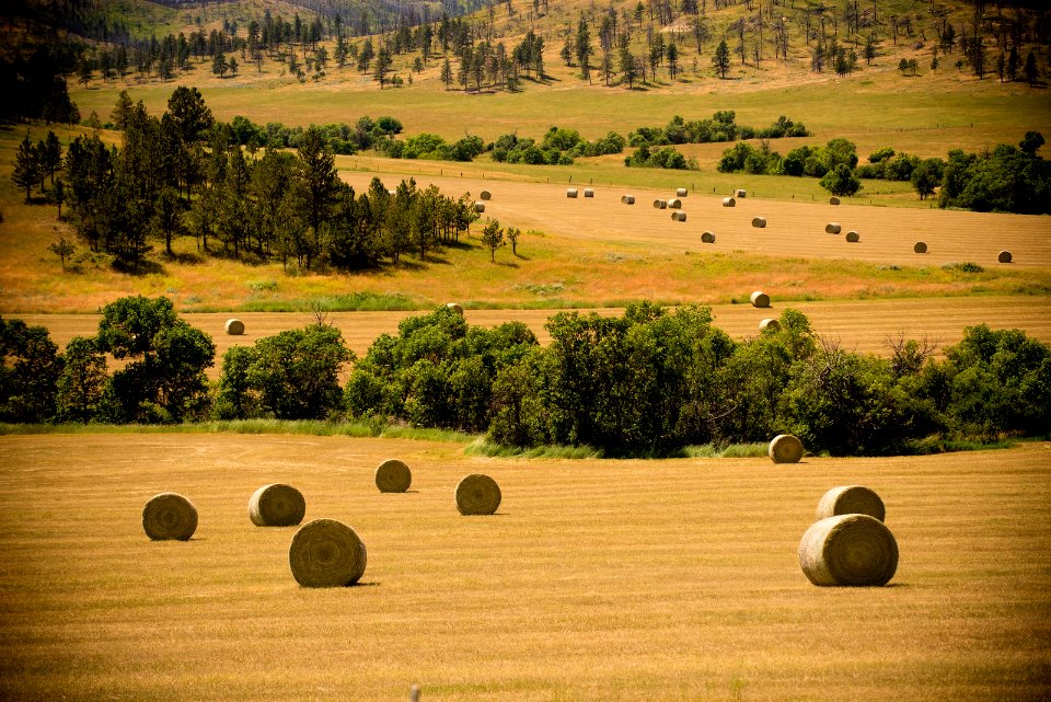 6530 NRCS projects.jpg