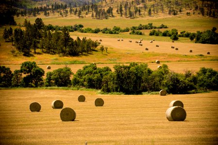 6530 NRCS projects.jpg