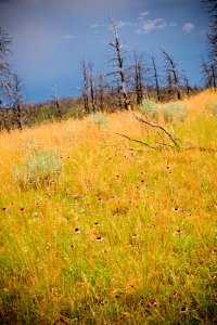 6478 NRCS projects.jpg