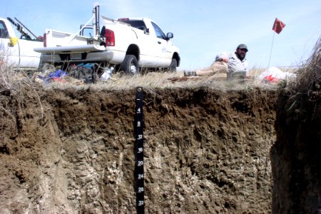 Soil Survey 114.tif