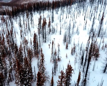 snowsurvey140