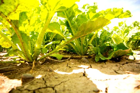 4210 NRCS projects