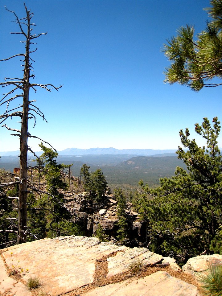 View from Mogollon Rim