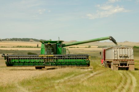 Harvest NR 11