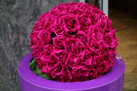 Petal spring bouquet