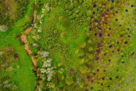 Jgibson Day3 0060 DJI 0640