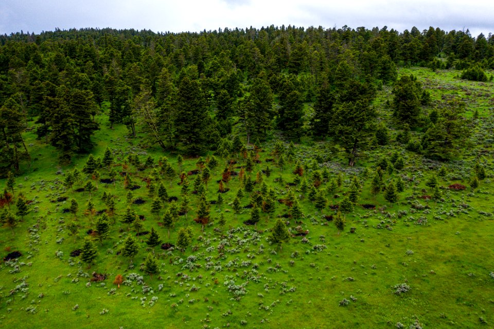 Jgibson Day3 0058 DJI 0635