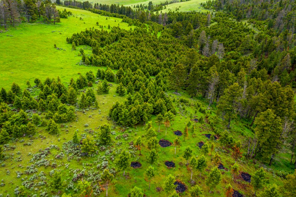 Jgibson Day3 0074 DJI 0655