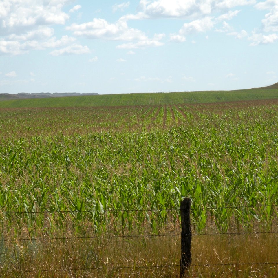 Conservation Tillage20