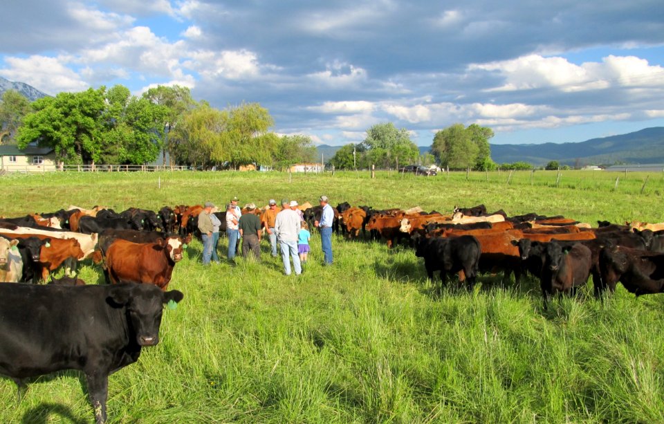 Conservation Education29