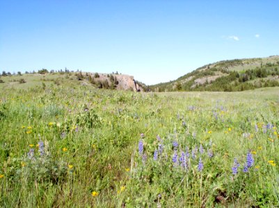 Rangeland10.tif photo