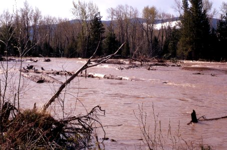 Floods61.tif