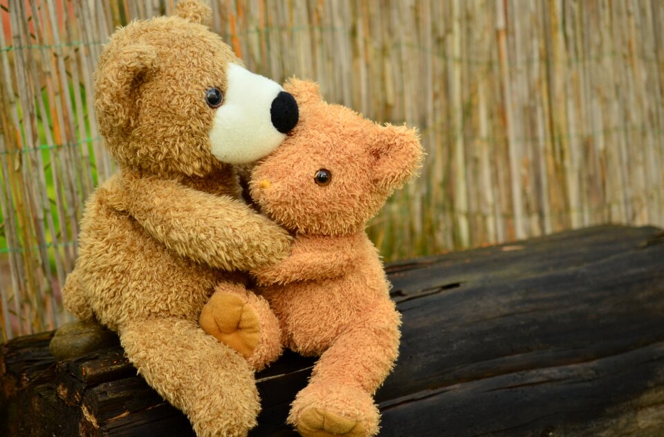 Love soft toy stuffed animals photo