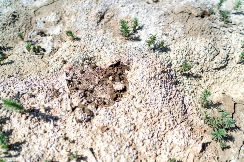 Jgibson Day1 0039  DSC7128