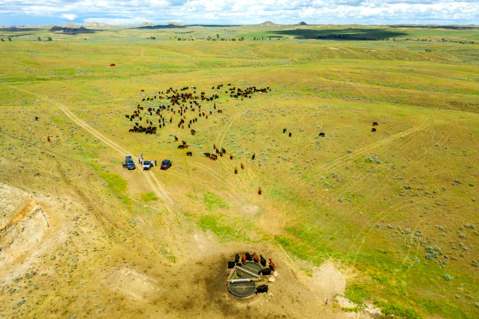 Jgibson Day9 0032 DJI 0976