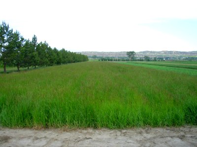 Plant Materials Center60