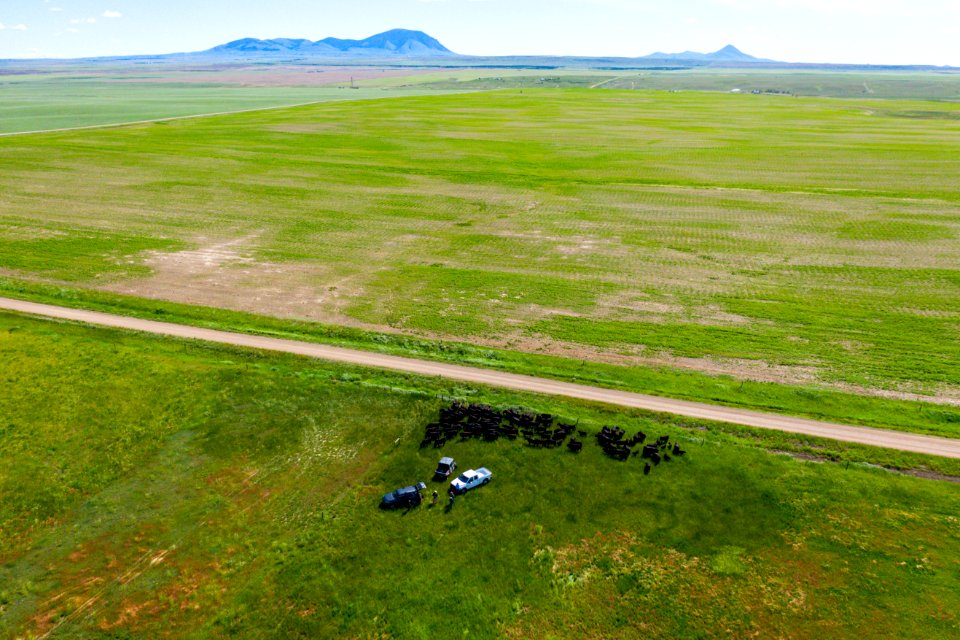 Jgibson Day1 0047 DJI 0175