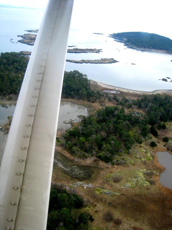 Seaplane Commute from Victoria to Vancouver