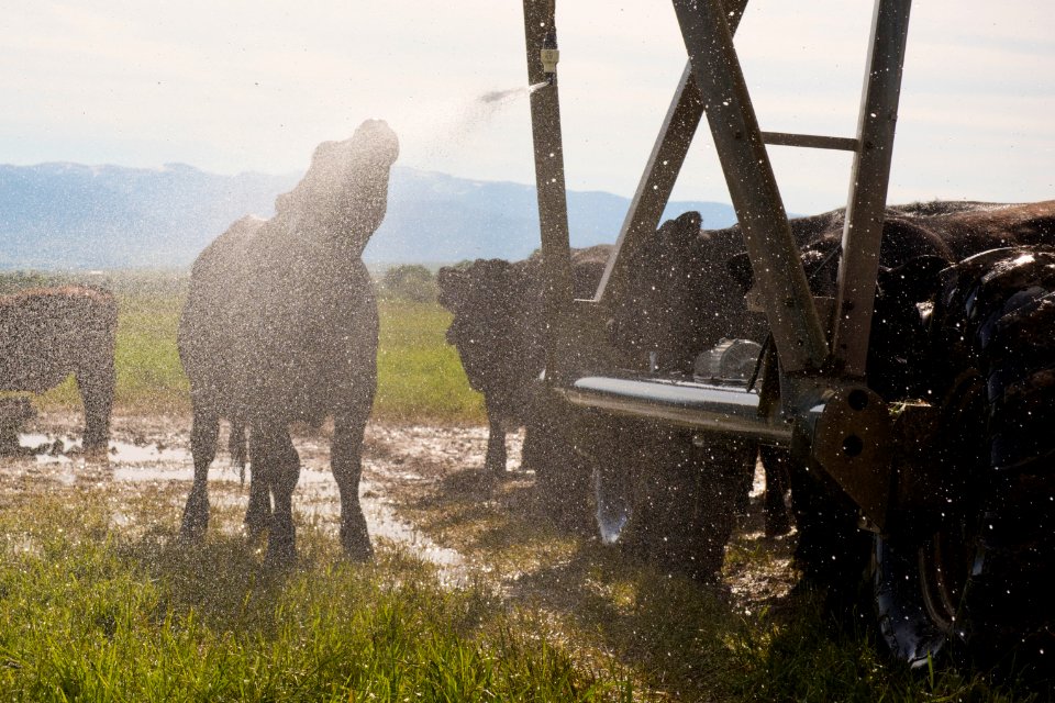1329 NRCS projects