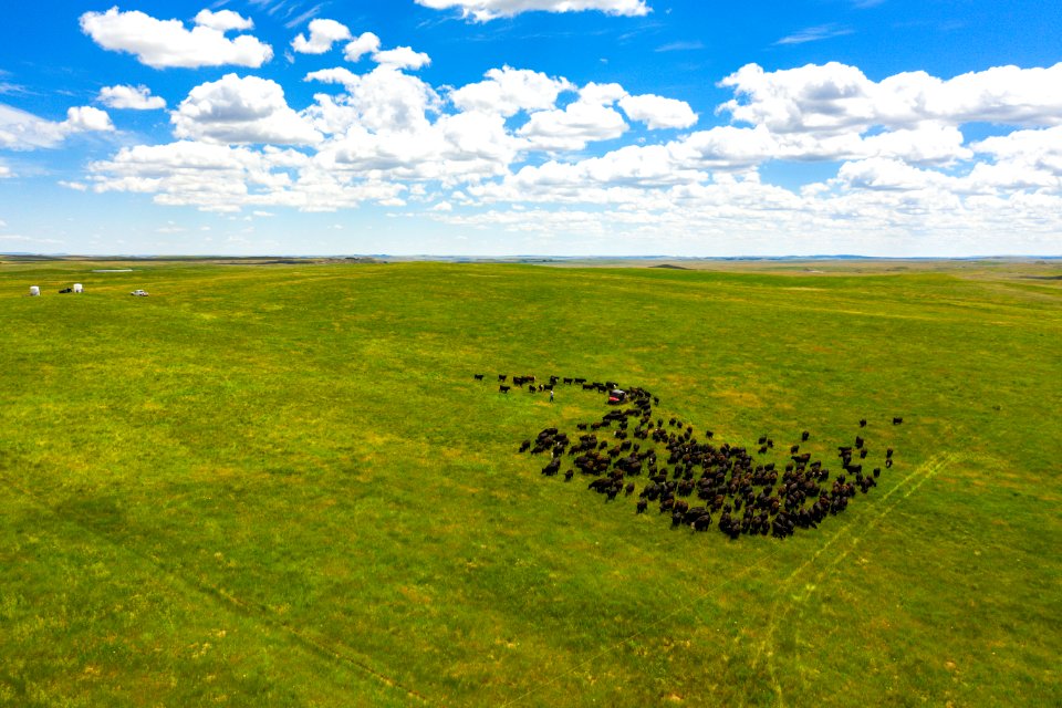 Jgibson Day7 0093 DJI 0865
