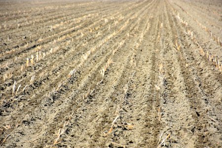 conservationtillage33