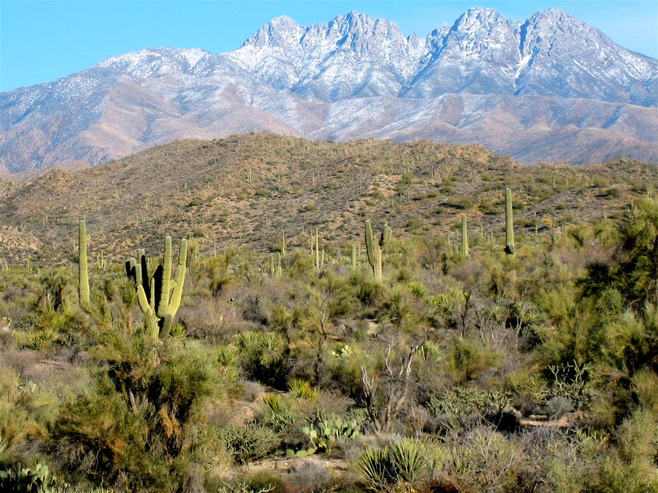 1,2,3... Four Peaks