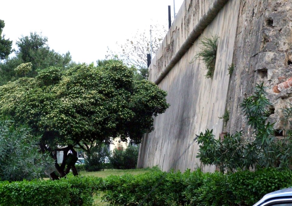 Palermo-Sicily-Italy - Creative Commons by gnuckx