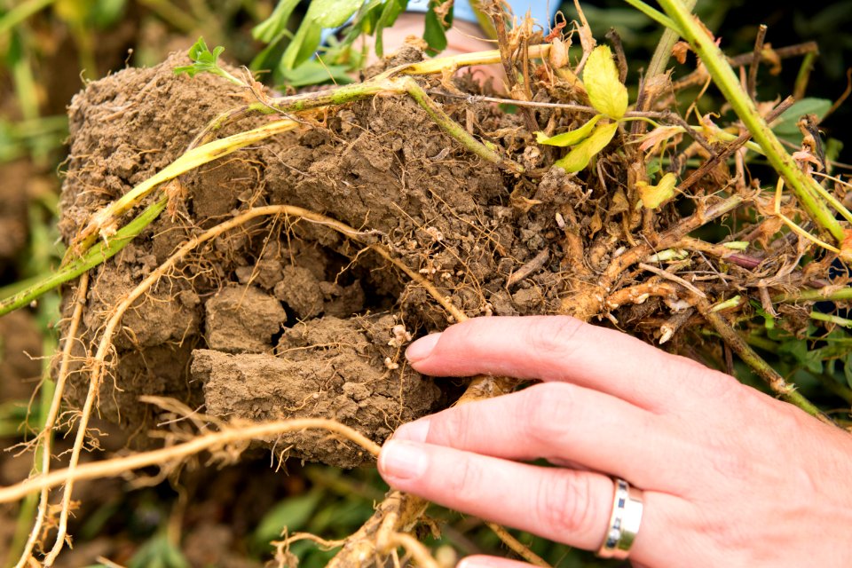 3036 NRCS projects